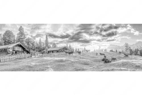 Friedliche Almwiese bei Mittenwald mit Karwendel im Morgenlicht - Oimarisch - Seitenverhältnis 3:1 - Mittenwald Buckelwiesen Alm - weitere Infos unter https://www.kriner-weiermann.de