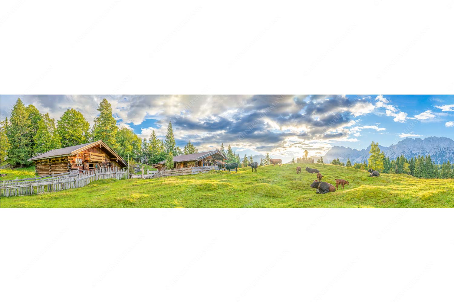 Friedliche Almwiese bei Mittenwald mit Karwendel im Morgenlicht