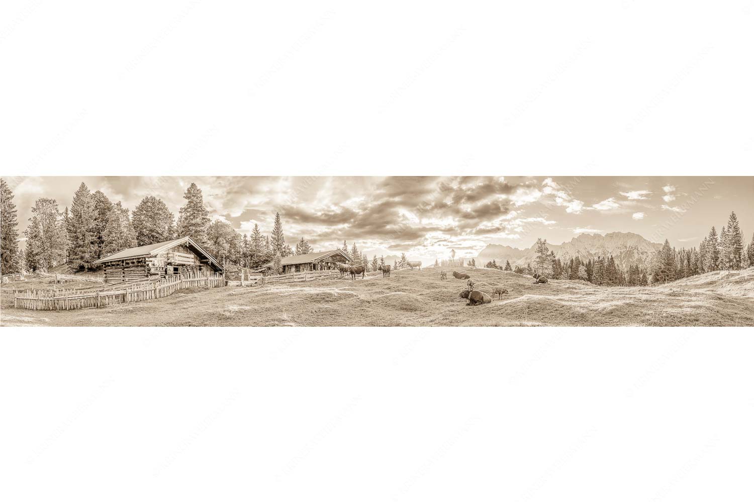 Friedliche Almwiese bei Mittenwald mit Karwendel im Morgenlicht