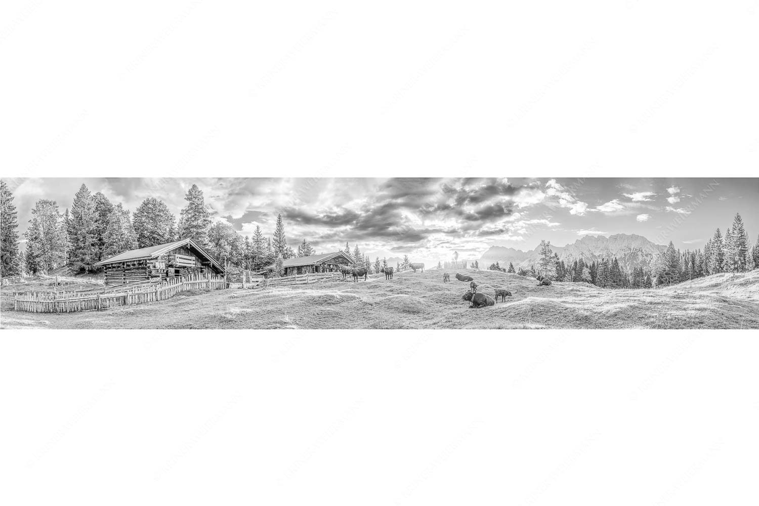 Friedliche Almwiese bei Mittenwald mit Karwendel im Morgenlicht - Oimarisch - Seitenverhältnis 5:1 - Mittenwald Buckelwiesen Alm - weitere Infos unter https://www.kriner-weiermann.de