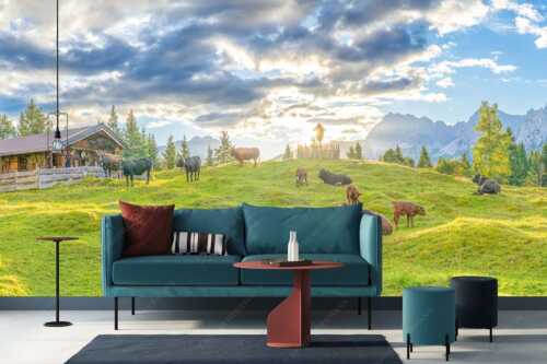 Friedliche Almwiese bei Mittenwald mit Karwendel im Morgenlicht - Oimarisch - Fototapete - Größe ca. 400x200cm, Seitenverhältnis 2:1 - Mittenwald Buckelwiesen Alm - weitere Infos unter https://www.kriner-weiermann.de