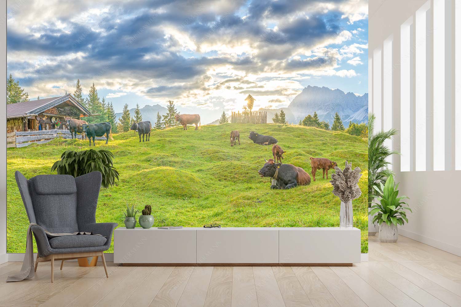 Friedliche Almwiese bei Mittenwald mit Karwendel im Morgenlicht - Oimarisch - Fototapete - Größe ca. 300x200cm, Seitenverhältnis 3:2 - Mittenwald Buckelwiesen Alm - weitere Infos unter https://www.kriner-weiermann.de