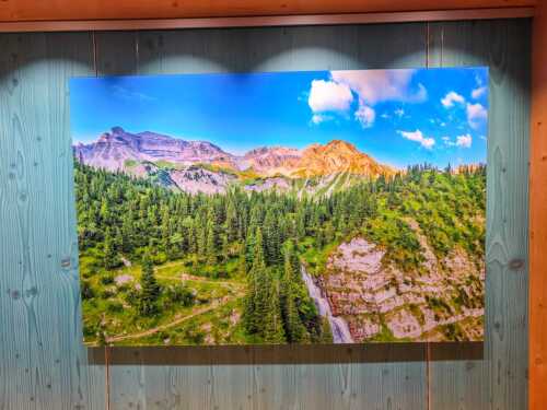 Alu-Dibond - Viehtrieb - 105x70cm