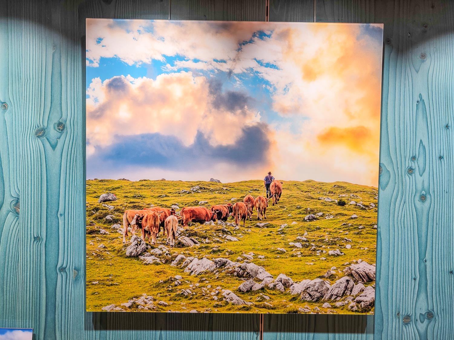 Aclyl matt - Umidreim - 60x60cm