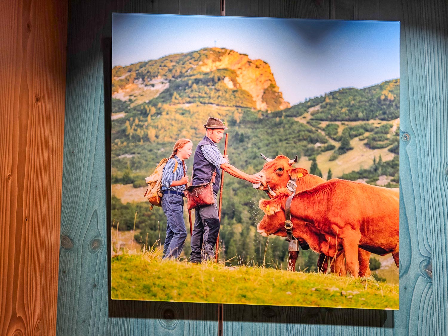 Aclyl matt - Ums Vieh schaun - 45x45cm