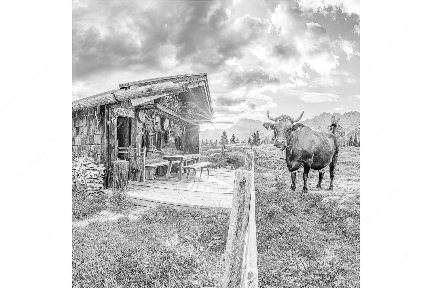 Malerische Almhütte bei Mittenwald mit Karwendel - Almbiente II - Seitenverhältnis 1:1 - Mittenwald Alm Buckelwiesen Karwendel - weitere Infos unter https://www.kriner-weiermann.de
