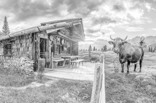Malerische Almhütte bei Mittenwald mit Karwendel - Almbiente II - Seitenverhältnis 3:2 - Mittenwald Alm Buckelwiesen Karwendel - weitere Infos unter https://www.kriner-weiermann.de