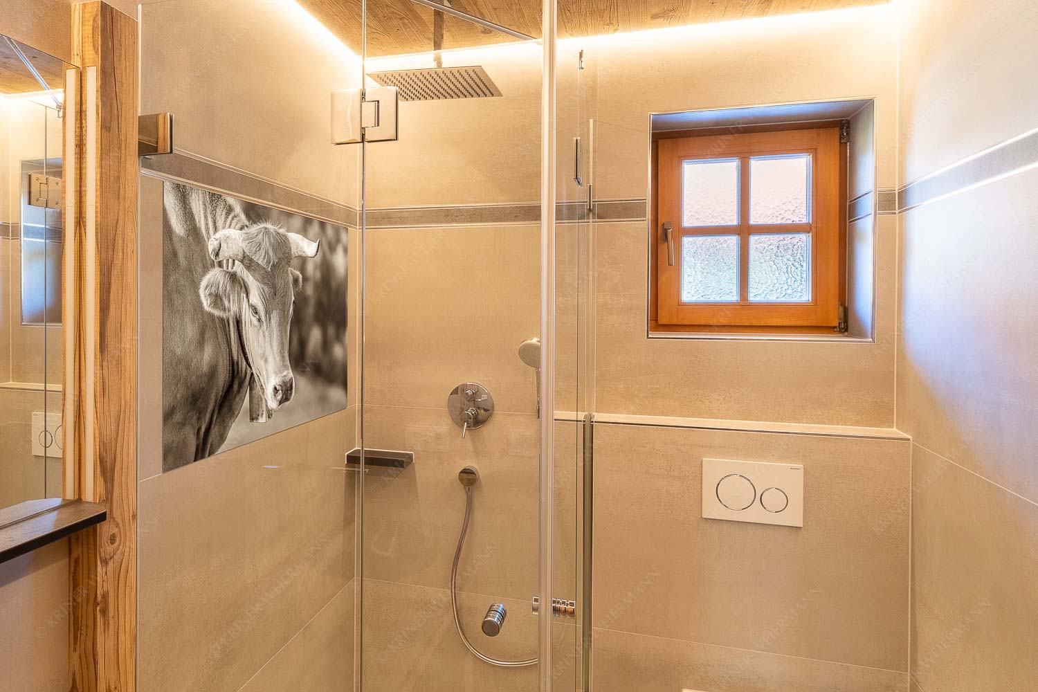 Porträt eines Murnau-Werdenfelser Ochsen im Estergebirge - Der Meister - Glasbild - Größe ca. 120x80cm, Seitenverhältnis 3:2 - Murnau Werdenfelser Rind - weitere Infos unter https://www.kriner-weiermann.de