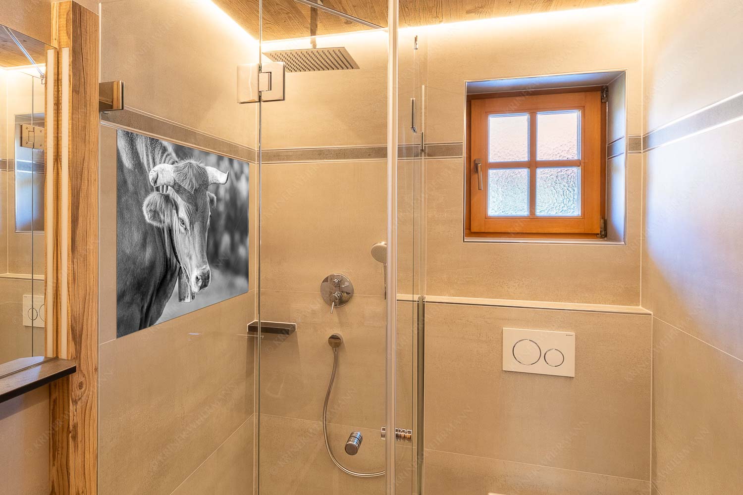 Porträt eines Murnau-Werdenfelser Ochsen im Estergebirge - Der Meister - Glasbild - Größe ca. 120x80cm, Seitenverhältnis 3:2 - Murnau Werdenfelser Rind - weitere Infos unter https://www.kriner-weiermann.de