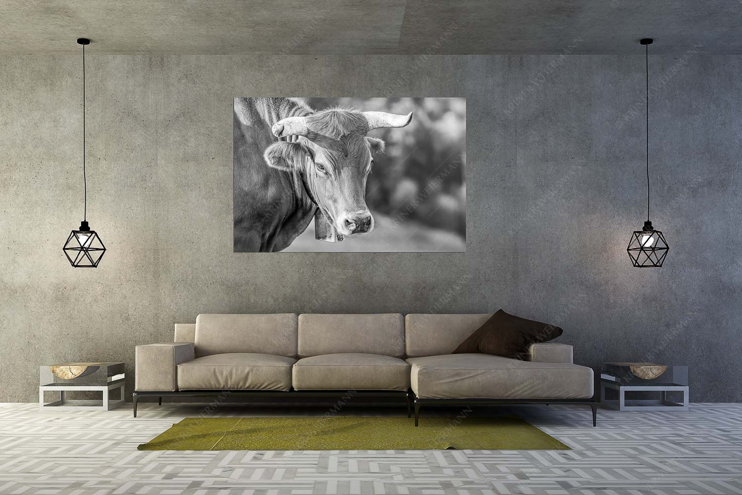 Der Meister – Wandbild – Größe ca. 180x120cm, Seitenverhältnis 3:2 — Murnau Werdenfelser Rind Porträt eines Murnau-Werdenfelser Ochsen im Estergebirge - Der Meister - Wandbild - Größe ca. 180x120cm, Seitenverhältnis 3:2 - Murnau Werdenfelser Rind - weitere Infos unter https://www.kriner-weiermann.de