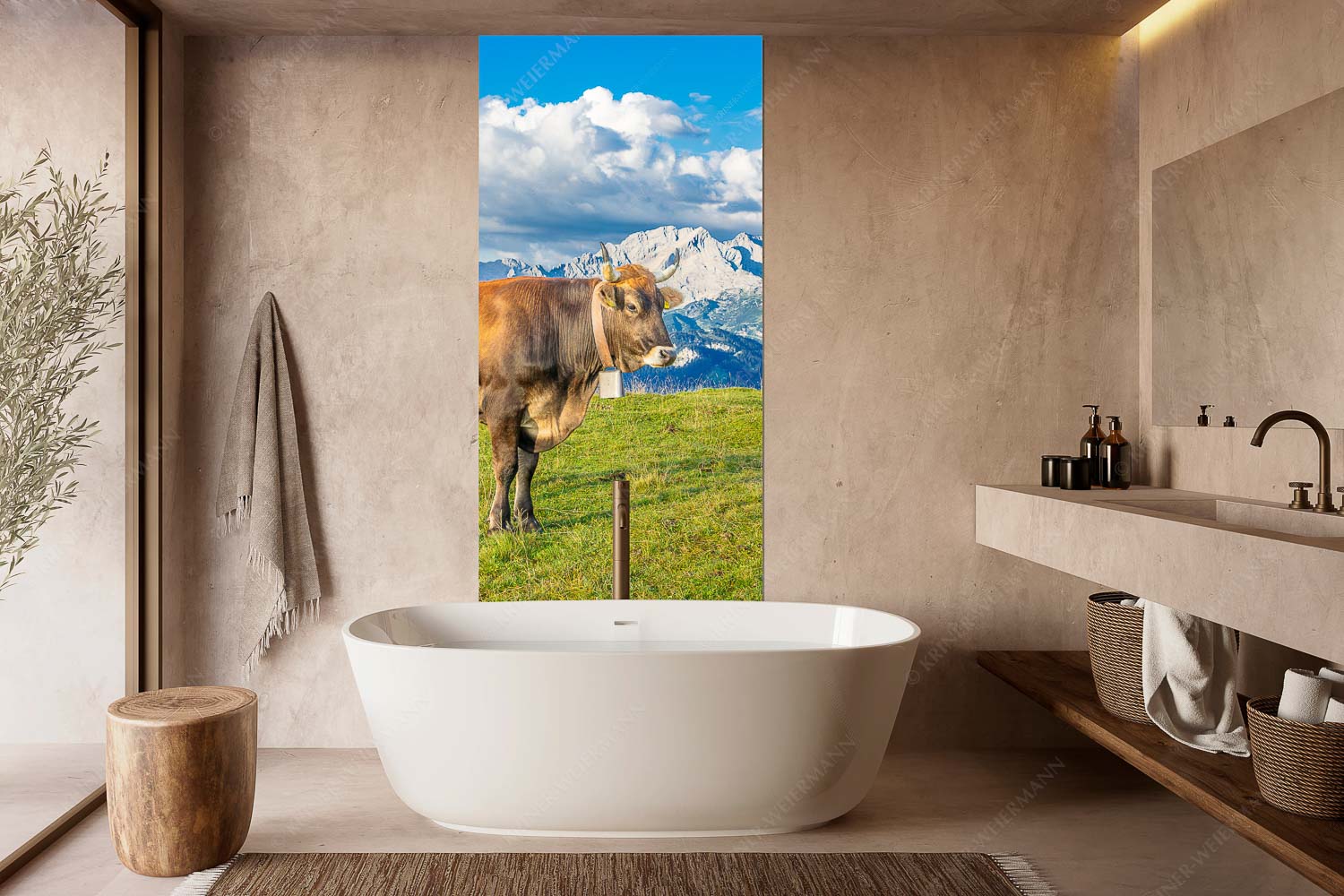 Murnau Werdenfelser Rind am Wank mit Wettersteingebirge - Echsla - Wandbild - Größe ca. 100x200cm, Seitenverhältnis 1:2 - Werdenfelser Stier - weitere Infos unter https://www.kriner-weiermann.de