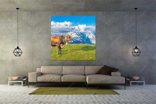 Murnau Werdenfelser Rind am Wank mit Wettersteingebirge - Echsla - Wandbild - Größe ca. 160x160cm, Seitenverhältnis 1:1 - Werdenfelser Stier - weitere Infos unter https://www.kriner-weiermann.de