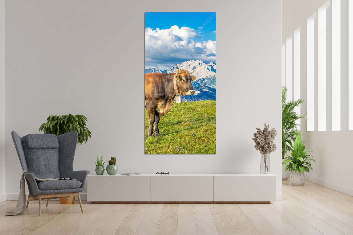 Echsla – Wandbild – Größe ca. 90x180cm, Seitenverhältnis 1:2 — Werdenfelser Stier Murnau Werdenfelser Rind am Wank mit Wettersteingebirge - Echsla - Wandbild - Größe ca. 90x180cm, Seitenverhältnis 1:2 - Werdenfelser Stier - weitere Infos unter https://www.kriner-weiermann.de