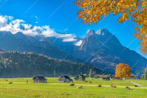 Blick über eine Herbstweide in Garmisch-Partenkirchen zum Wettersteingebirge - Garmischer Herbstidylle - Seitenverhältnis 3:2 - Alpspitze Waxenstein - weitere Infos unter https://www.kriner-weiermann.de