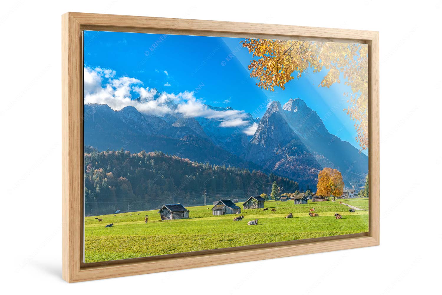 Garmischer Herbstidylle – Foto im Schattenfugen-Rahmen, Seitenverhältnis 3:2 — Alpspitze Waxenstein Blick über eine Herbstweide in Garmisch-Partenkirchen zum Wettersteingebirge - Garmischer Herbstidylle - Foto im Schattenfugen-Rahmen, Seitenverhältnis 3:2 - Alpspitze Waxenstein - weitere Infos unter https://www.kriner-weiermann.de