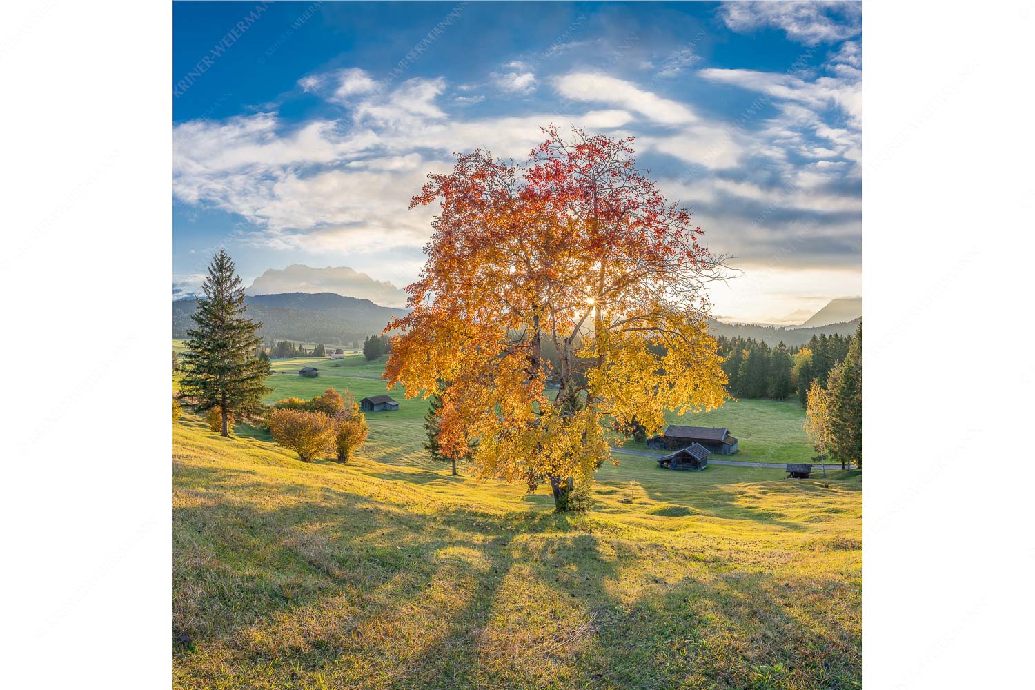 Goldene Zeiten – Seitenverhältnis 1:1 — Buckelwiesen Alpenwelt Karwendel Herbststimmung an den Buckelwiesen zwischen Krün und Mittenwald