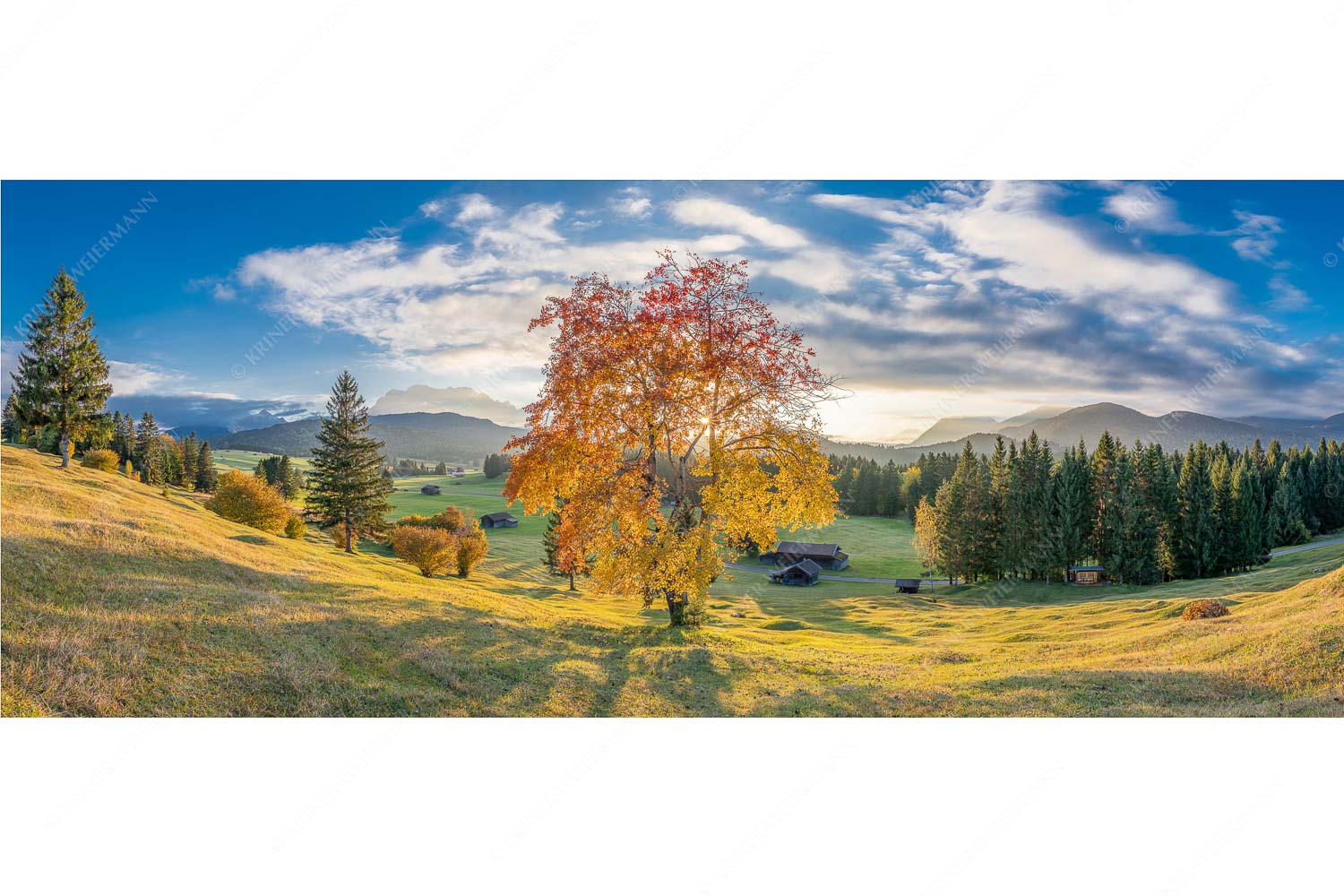 Herbststimmung an den Buckelwiesen zwischen Krün und Mittenwald - Goldene Zeiten - Seitenverhältnis 2,5:1 - Buckelwiesen Alpenwelt Karwendel - weitere Infos unter https://www.kriner-weiermann.de