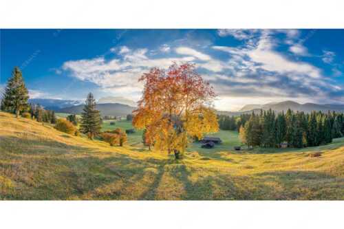 Herbststimmung an den Buckelwiesen zwischen Krün und Mittenwald - Goldene Zeiten - Seitenverhältnis 2:1 - Buckelwiesen Alpenwelt Karwendel - weitere Infos unter https://www.kriner-weiermann.de