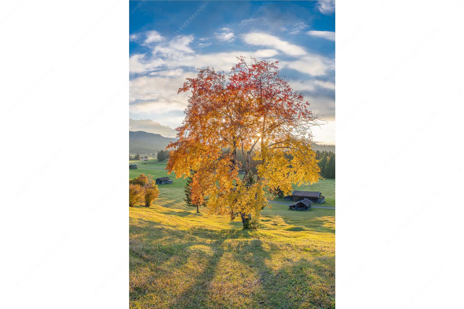 Goldene Zeiten – Seitenverhältnis 2:3 — Buckelwiesen Alpenwelt Karwendel Herbststimmung an den Buckelwiesen zwischen Krün und Mittenwald