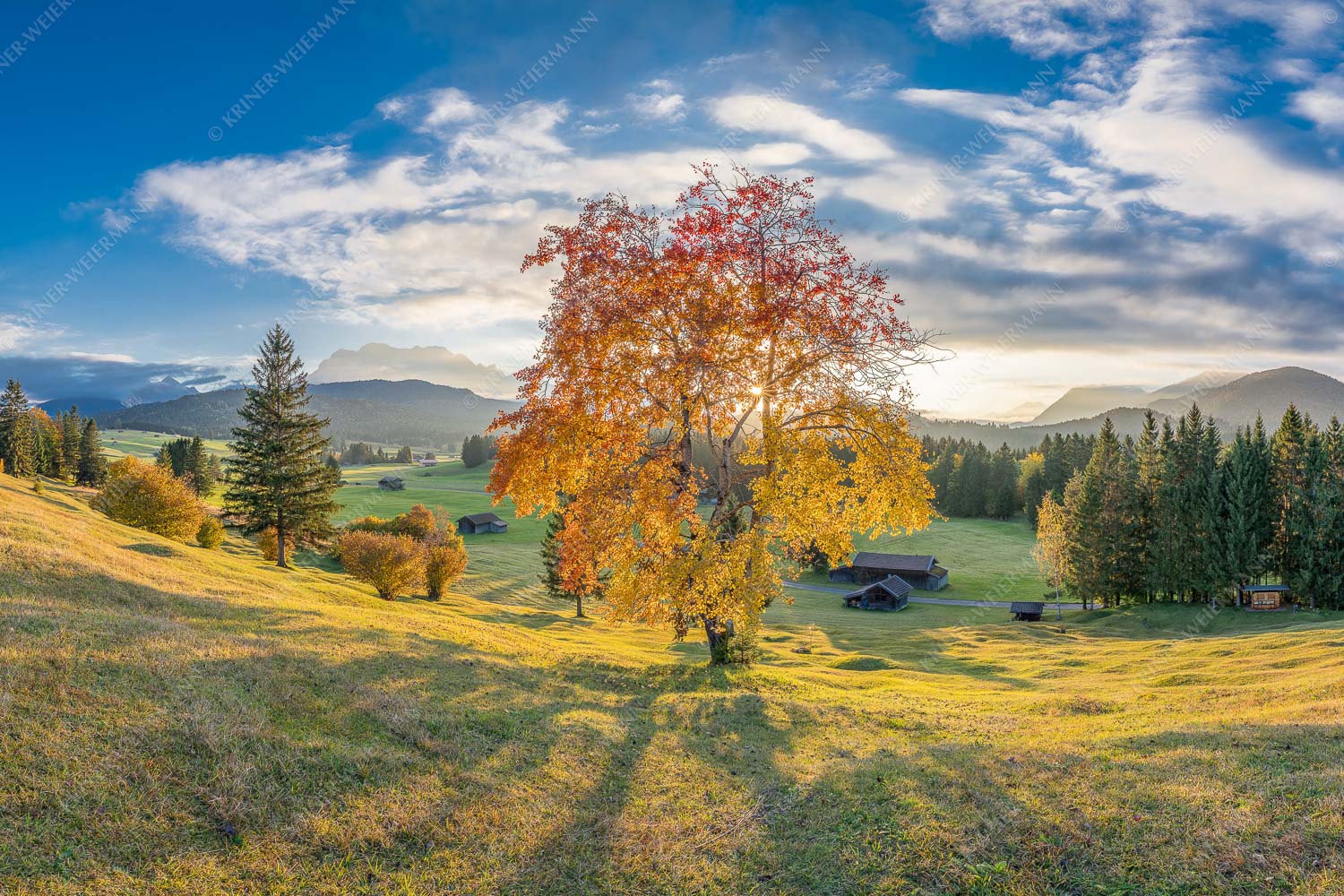 Herbststimmung an den Buckelwiesen zwischen Krün und Mittenwald - Goldene Zeiten - Seitenverhältnis 3:2 - Buckelwiesen Alpenwelt Karwendel - weitere Infos unter https://www.kriner-weiermann.de