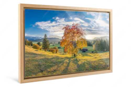 Herbststimmung an den Buckelwiesen zwischen Krün und Mittenwald - Goldene Zeiten - Foto im Schattenfugen-Rahmen, Seitenverhältnis 3:2 - Buckelwiesen Alpenwelt Karwendel - weitere Infos unter https://www.kriner-weiermann.de