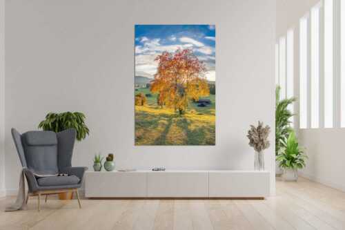 Herbststimmung an den Buckelwiesen zwischen Krün und Mittenwald - Goldene Zeiten - Wandbild - Größe ca. 120x180cm, Seitenverhältnis 2:3 - Buckelwiesen Alpenwelt Karwendel - weitere Infos unter https://www.kriner-weiermann.de