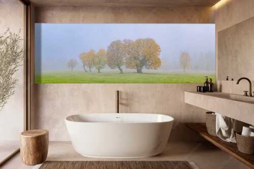 Ein wunderschönes Ahorn-Ensemble im Rontal - Individualität - Wandbild - Größe ca. 300x100cm, Seitenverhältnis 3:1 - Bergahorn im Karwendelgebirge - weitere Infos unter https://www.kriner-weiermann.de