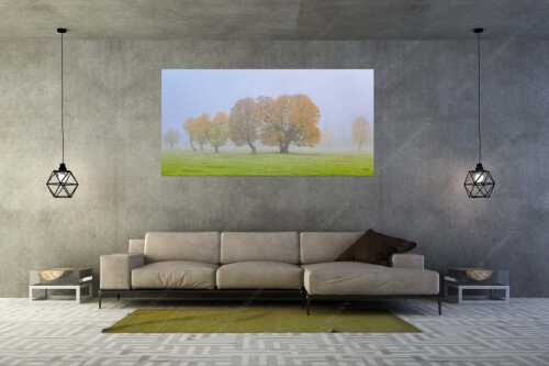 Ein wunderschönes Ahorn-Ensemble im Rontal - Individualität - Wandbild - Größe ca. 200x100cm, Seitenverhältnis 2:1 - Bergahorn im Karwendelgebirge - weitere Infos unter https://www.kriner-weiermann.de