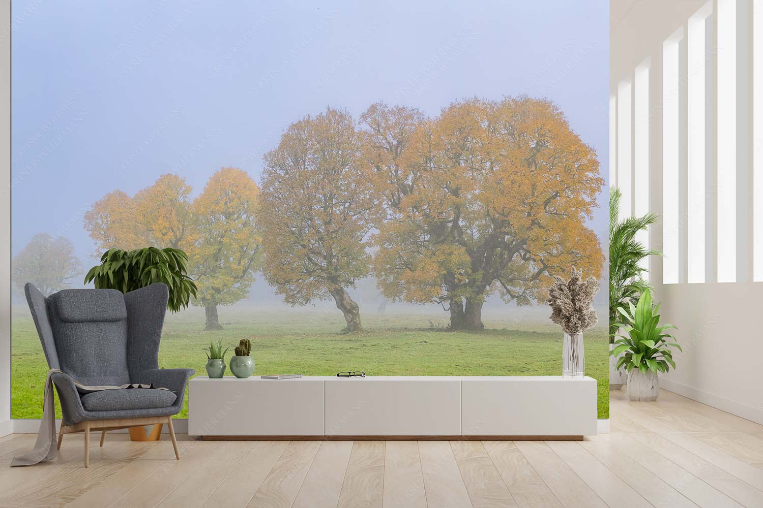 Individualität – Fototapete – Größe ca. 300x200cm, Seitenverhältnis 3:2 — Bergahorn im Karwendelgebirge Ein wunderschönes Ahorn-Ensemble im Rontal - Individualität - Fototapete - Größe ca. 300x200cm, Seitenverhältnis 3:2 - Bergahorn im Karwendelgebirge - weitere Infos unter https://www.kriner-weiermann.de