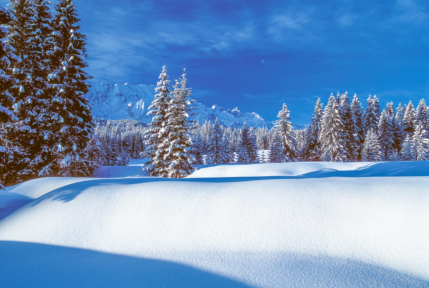 Tiefwinter in Elmau mit Blick zum Wettersteinkamm - Wintermärchen -