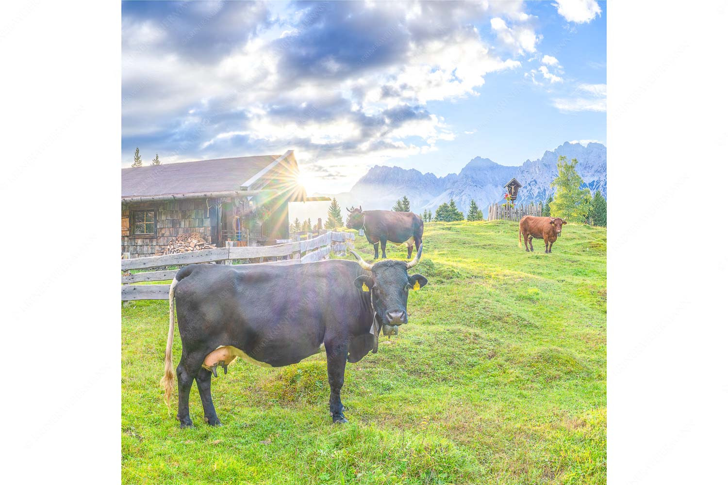 Malerische Almhütte bei Mittenwald mit Karwendel