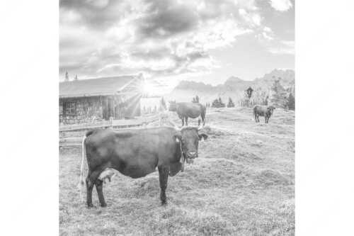 Malerische Almhütte bei Mittenwald mit Karwendel - Oimarisch VIII - Seitenverhältnis 1:1 - Mittenwald Alm Buckelwiesen Karwendel - weitere Infos unter https://www.kriner-weiermann.de