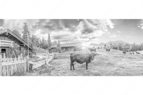 Malerische Almhütte bei Mittenwald mit Karwendel - Oimarisch VIII - Seitenverhältnis 2,5:1 - Mittenwald Alm Buckelwiesen Karwendel - weitere Infos unter https://www.kriner-weiermann.de