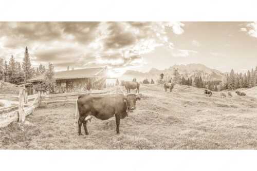 Malerische Almhütte bei Mittenwald mit Karwendel - Oimarisch VIII - Seitenverhältnis 2:1 - Mittenwald Alm Buckelwiesen Karwendel - weitere Infos unter https://www.kriner-weiermann.de