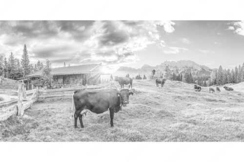 Malerische Almhütte bei Mittenwald mit Karwendel - Oimarisch VIII - Seitenverhältnis 2:1 - Mittenwald Alm Buckelwiesen Karwendel - weitere Infos unter https://www.kriner-weiermann.de