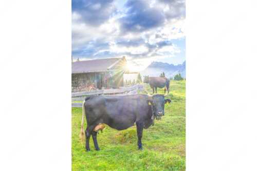 Malerische Almhütte bei Mittenwald mit Karwendel - Oimarisch VIII - Seitenverhältnis 2:3 - Mittenwald Alm Buckelwiesen Karwendel - weitere Infos unter https://www.kriner-weiermann.de