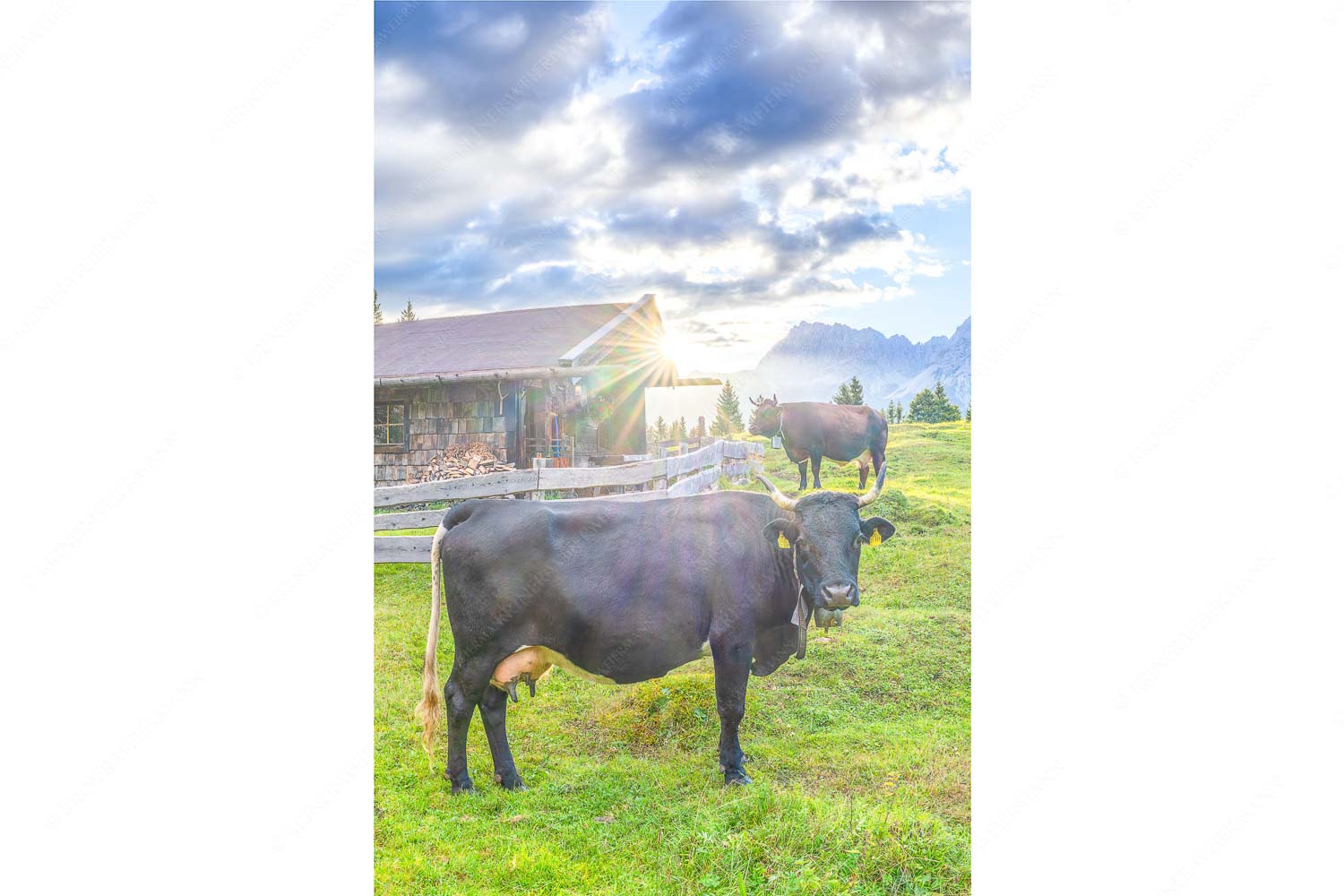 Malerische Almhütte bei Mittenwald mit Karwendel