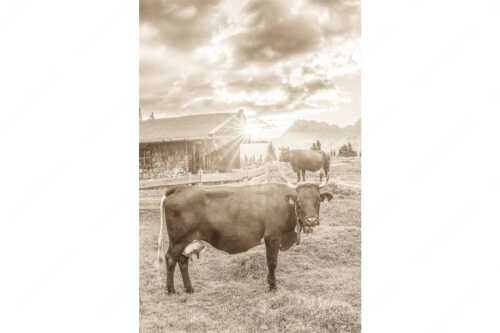 Malerische Almhütte bei Mittenwald mit Karwendel - Oimarisch VIII - Seitenverhältnis 2:3 - Mittenwald Alm Buckelwiesen Karwendel - weitere Infos unter https://www.kriner-weiermann.de