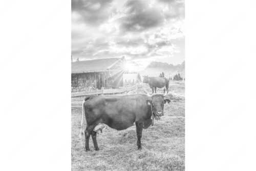 Malerische Almhütte bei Mittenwald mit Karwendel - Oimarisch VIII - Seitenverhältnis 2:3 - Mittenwald Alm Buckelwiesen Karwendel - weitere Infos unter https://www.kriner-weiermann.de