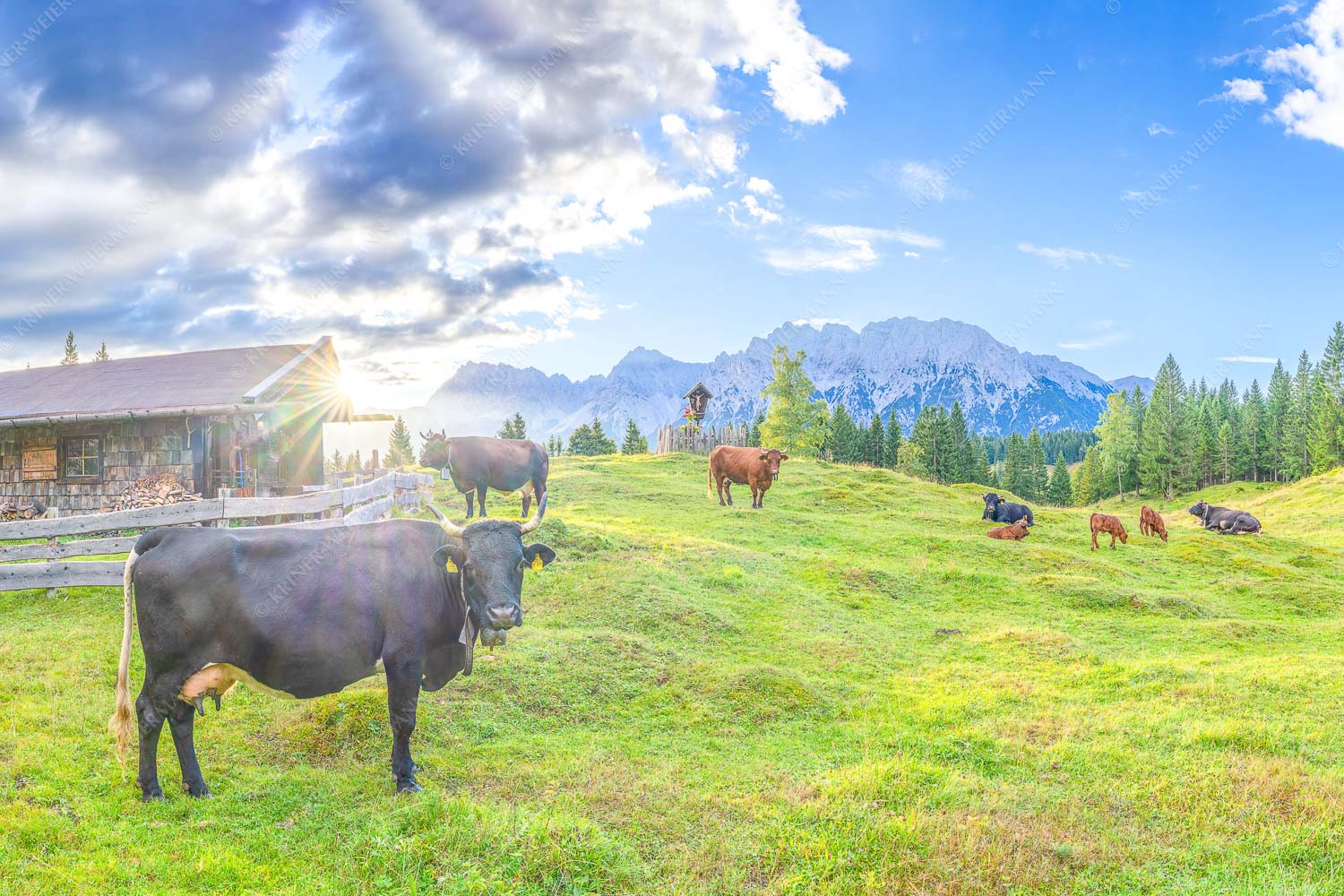 Oimarisch VIII – Seitenverhältnis 3:2 — Mittenwald Alm Buckelwiesen Karwendel Malerische Almhütte bei Mittenwald mit Karwendel - Oimarisch VIII - Seitenverhältnis 3:2 - Mittenwald Alm Buckelwiesen Karwendel - weitere Infos unter https://www.kriner-weiermann.de