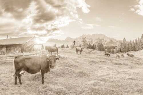 Malerische Almhütte bei Mittenwald mit Karwendel - Oimarisch VIII - Seitenverhältnis 3:2 - Mittenwald Alm Buckelwiesen Karwendel - weitere Infos unter https://www.kriner-weiermann.de
