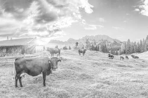 Malerische Almhütte bei Mittenwald mit Karwendel - Oimarisch VIII - Seitenverhältnis 3:2 - Mittenwald Alm Buckelwiesen Karwendel - weitere Infos unter https://www.kriner-weiermann.de