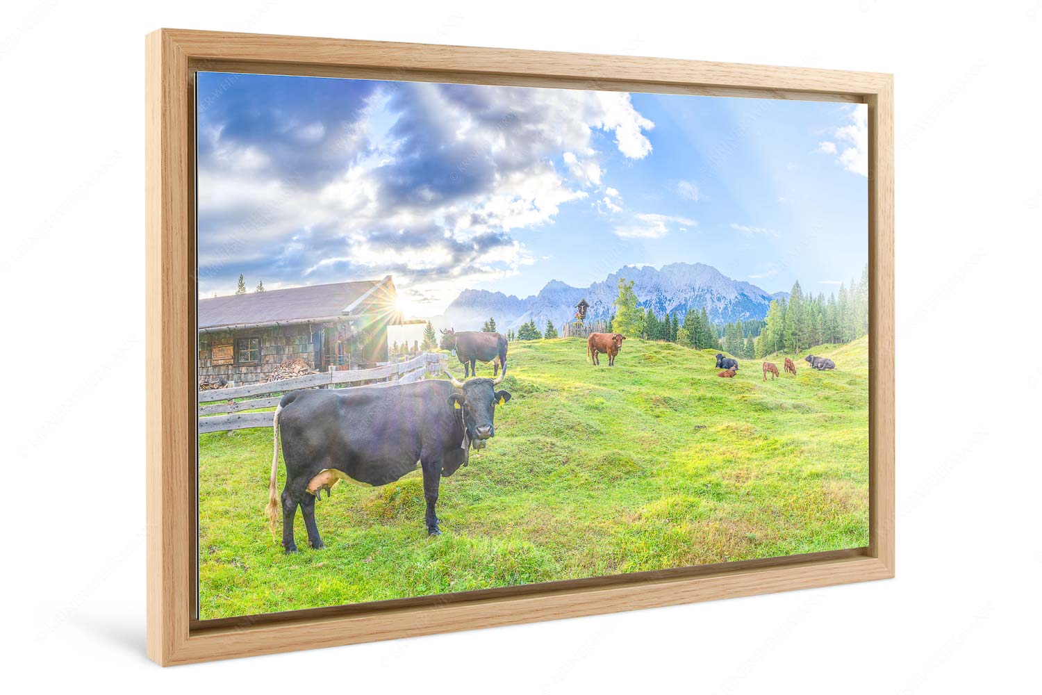 Oimarisch VIII – Foto im Schattenfugen-Rahmen, Seitenverhältnis 3:2 — Mittenwald Alm Buckelwiesen Karwendel Malerische Almhütte bei Mittenwald mit Karwendel - Oimarisch VIII - Foto im Schattenfugen-Rahmen, Seitenverhältnis 3:2 - Mittenwald Alm Buckelwiesen Karwendel - weitere Infos unter https://www.kriner-weiermann.de