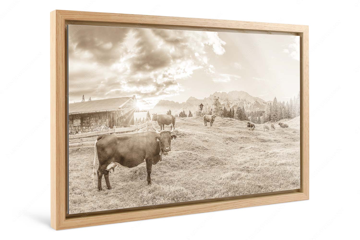 Oimarisch VIII – Foto im Schattenfugen-Rahmen, Seitenverhältnis 3:2 — Mittenwald Alm Buckelwiesen Karwendel Malerische Almhütte bei Mittenwald mit Karwendel - Oimarisch VIII - Foto im Schattenfugen-Rahmen, Seitenverhältnis 3:2 - Mittenwald Alm Buckelwiesen Karwendel - weitere Infos unter https://www.kriner-weiermann.de