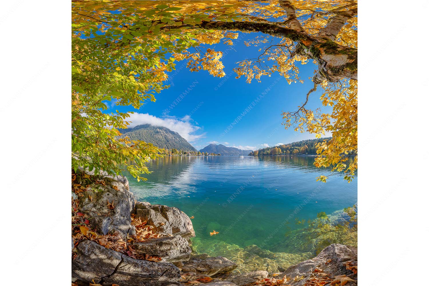 Walchensee im Herbst – Seitenverhältnis 1:1 — Herzogstand mit Walchenseebucht Farbenfroh zeigen sich im Herbst die Uferregionen des Sees