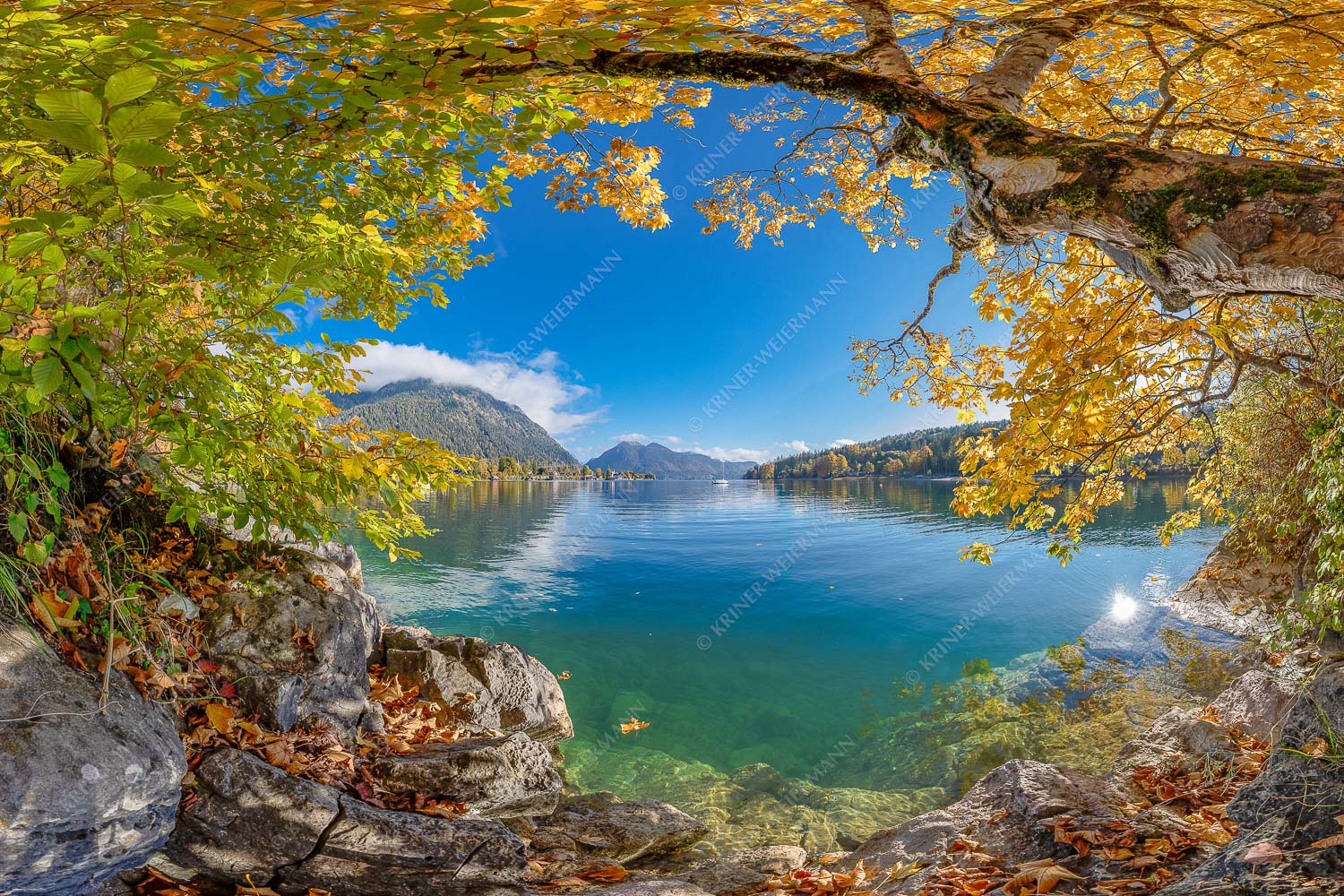 Farbenfroh zeigen sich im Herbst die Uferregionen des Sees - Walchensee im Herbst - Seitenverhältnis 3:2 - Herzogstand mit Walchenseebucht - weitere Infos unter https://www.kriner-weiermann.de