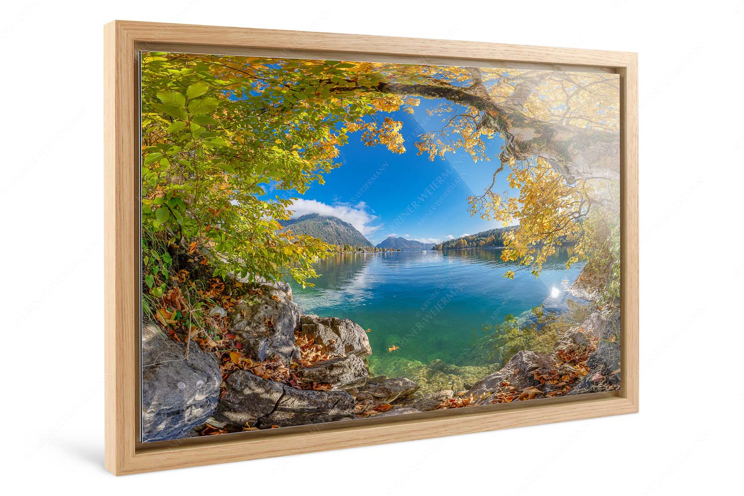 Walchensee im Herbst – Foto im Schattenfugen-Rahmen, Seitenverhältnis 3:2 — Herzogstand mit Walchenseebucht Farbenfroh zeigen sich im Herbst die Uferregionen des Sees - Walchensee im Herbst - Foto im Schattenfugen-Rahmen, Seitenverhältnis 3:2 - Herzogstand mit Walchenseebucht - weitere Infos unter https://www.kriner-weiermann.de
