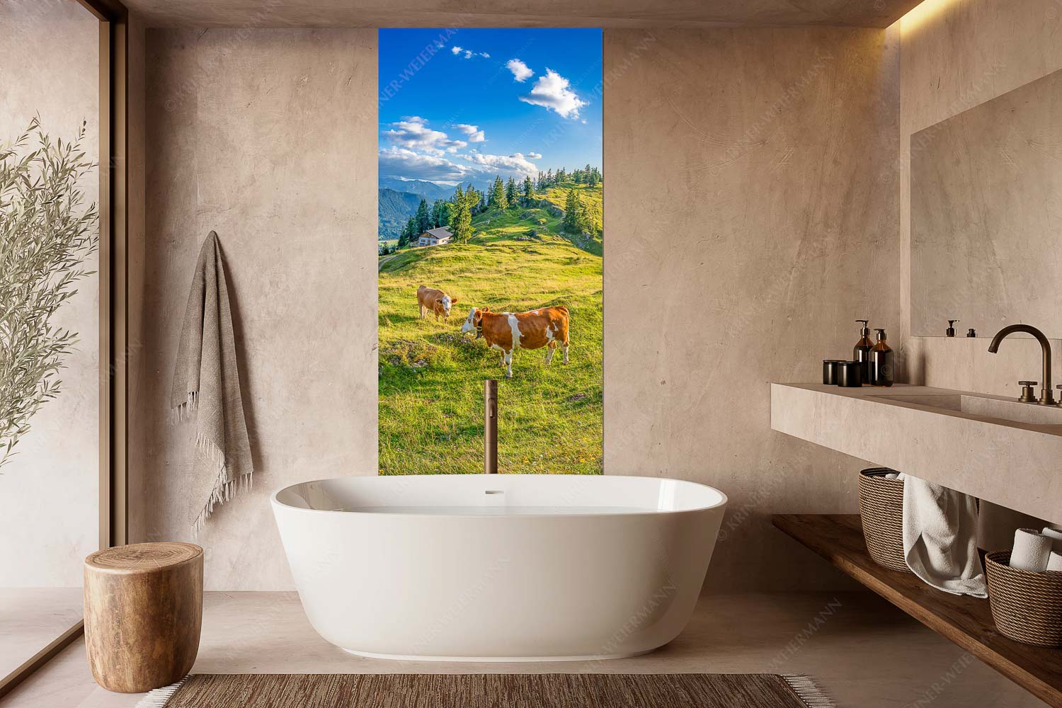 Junge Kälber auf einer Alm bei Jachenau - Almabend - Wandbild - Größe ca. 100x200cm, Seitenverhältnis 1:2 - Almweide Jachenau - weitere Infos unter https://www.kriner-weiermann.de