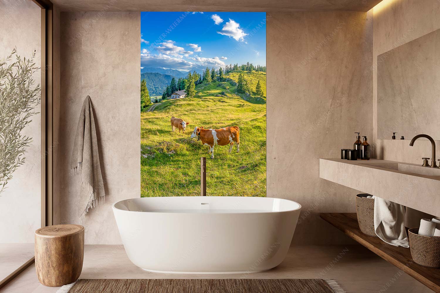 Almabend – Wandbild – Größe ca. 160x240cm, Seitenverhältnis 2:3 — Almweide Jachenau Junge Kälber auf einer Alm bei Jachenau - Almabend - Wandbild - Größe ca. 160x240cm, Seitenverhältnis 2:3 - Almweide Jachenau - weitere Infos unter https://www.kriner-weiermann.de