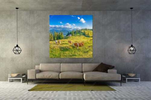 Junge Kälber auf einer Alm bei Jachenau - Almabend - Wandbild - Größe ca. 160x160cm, Seitenverhältnis 1:1 - Almweide Jachenau - weitere Infos unter https://www.kriner-weiermann.de